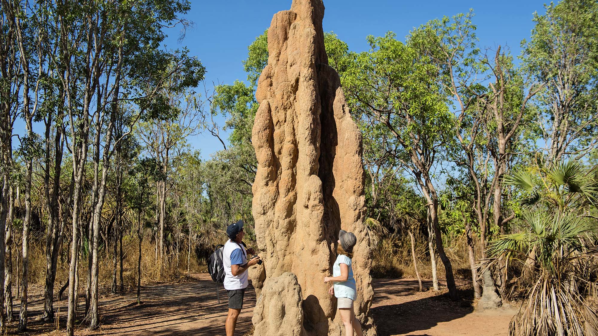 darwin, litchfield & kakadu escape