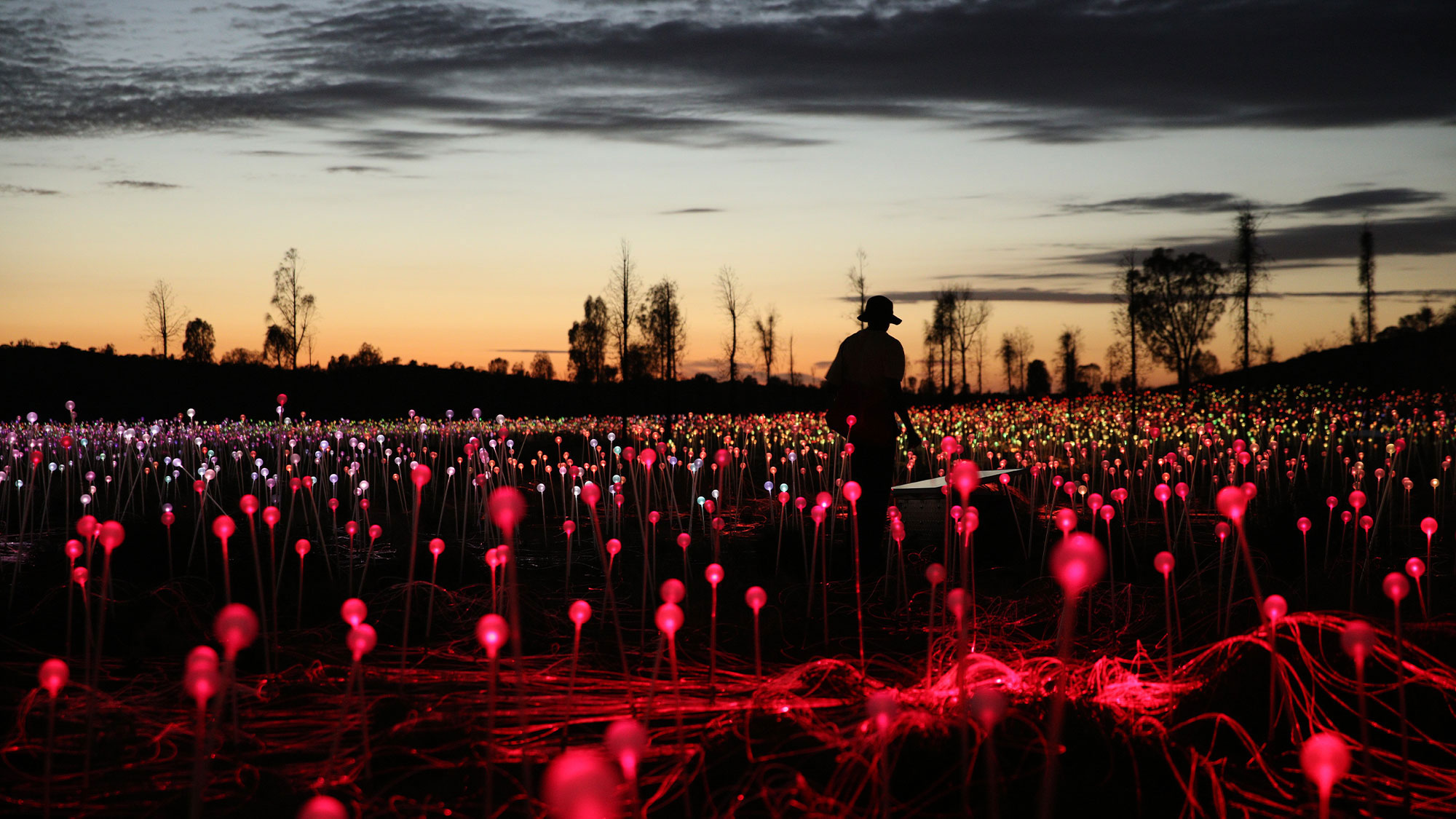 Uluru Desert Lights